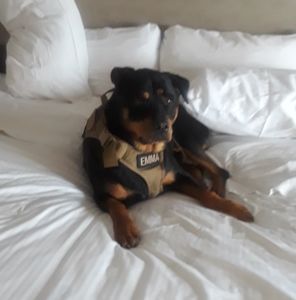 Meet your Posher, Brenda